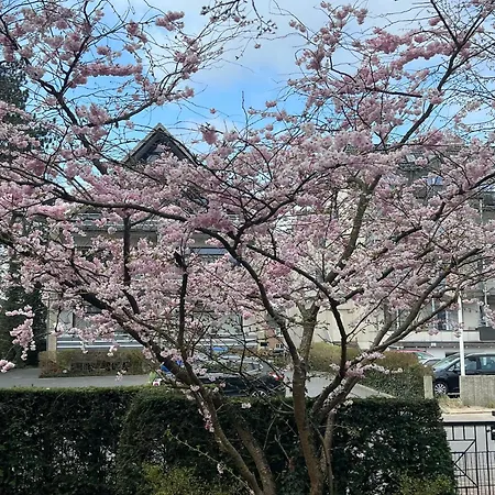 Duenenhaus Garten 2 Schlafzimmer Apartmán